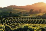 Sonoma Valley Wine Country Road Trip