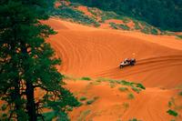 ATVing in Coral Pink Sand Dunes State Park