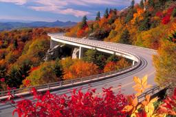 Blue Ridge Parkway vibrant fall colours
