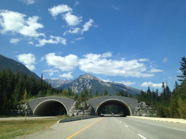 Driving through the Rocky Mountains