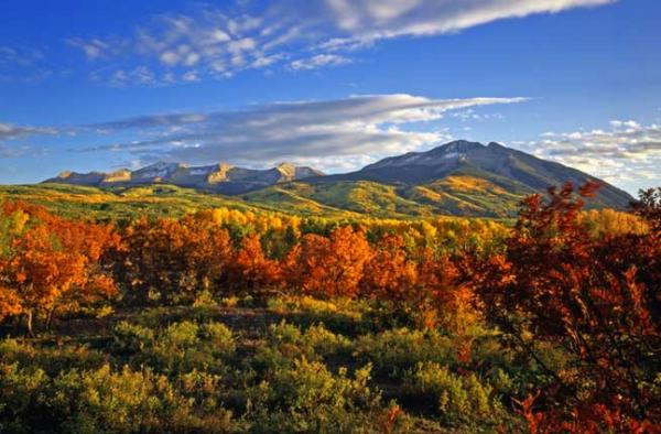 Aspen Colorado landscape photo in full colour during the fall. Image has mountains and a blue sky in the background.