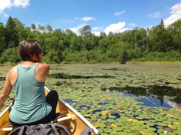 Algonquin Park Canoeing