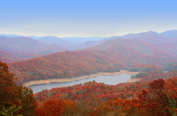 Distance shot of the Great Smokey Mountains covered in red coloured trees. Image is in full colour and has a blue sky background.