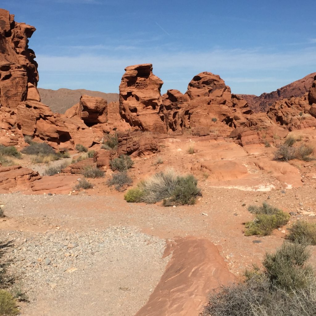 Desert in the Valley of Fire