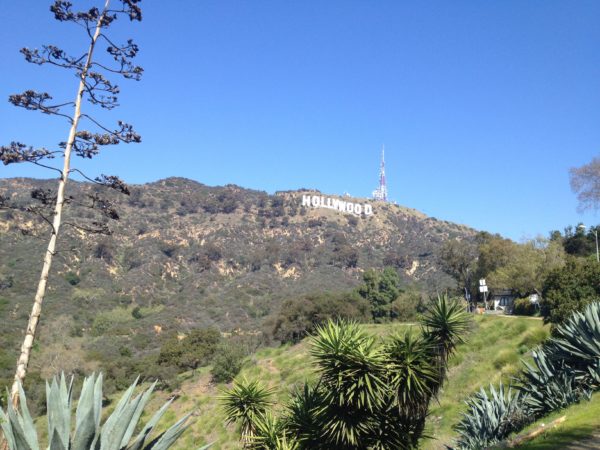 Hollywood Sign in the Hills