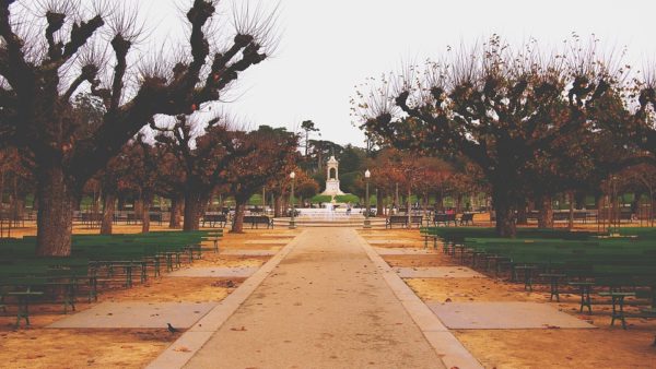 Golden Gate Park