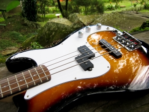 bass guitar