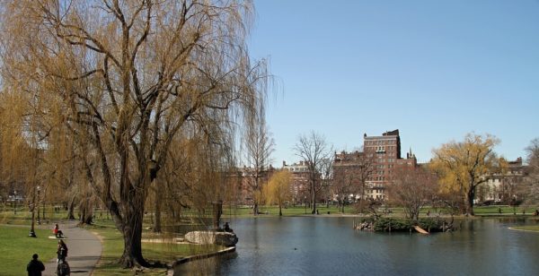 Boston Commons & Public Garden